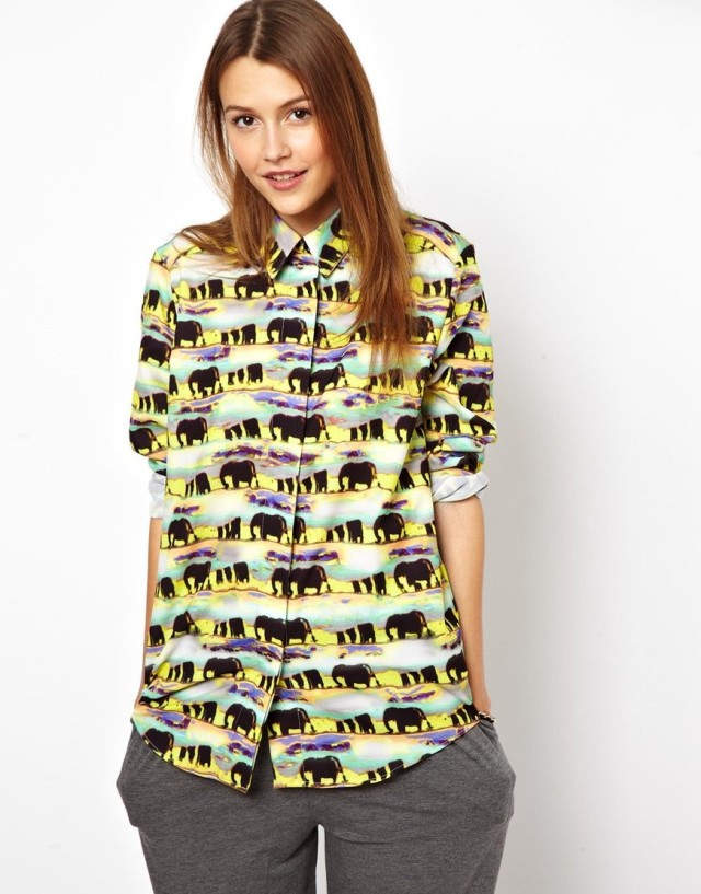 The Color Elephant Animal Printing long Sleeve Blouse Casual Shirts
